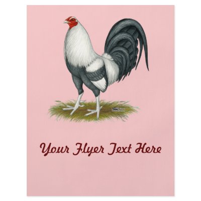 American Game Silver Blue Cock Flyers by diane_jacky
