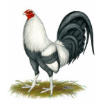 American Game Silver Blue Cock t-shirts