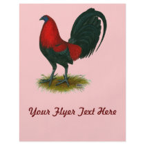 American Gamecock:  Brown Red Flyer