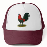 American Gamecock:  Brown Red Hat