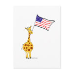 American Giraffe Postcards