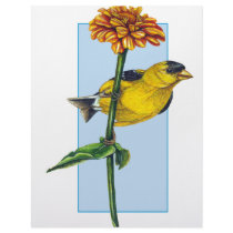 American Goldfinch and Zinnia flower letterhead