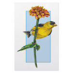 American Goldfinch and Zinnia flower Stationery