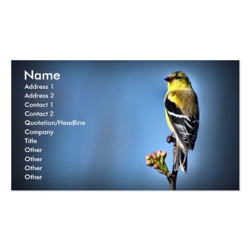 American Goldfinch Business Card