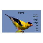 American Goldfinch Business Card Template