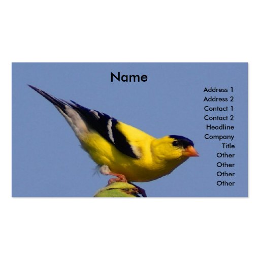 American Goldfinch Business Card Template