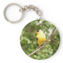 American Goldfinch keychains