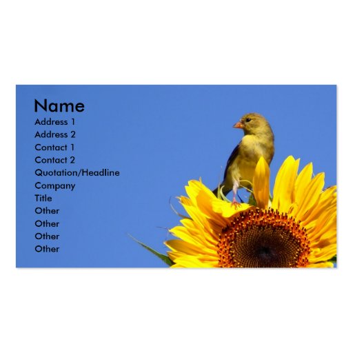 American Goldfinch on Sunflower Business Card Templates (front side)