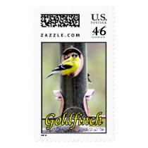 American GoldFinch postage