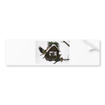 American Goldfinches Bumper Stickers