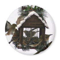American Goldfinches Fridge Magnets