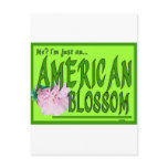 american green2 post cards