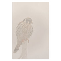 American Kestral Raptor Bird Stationery