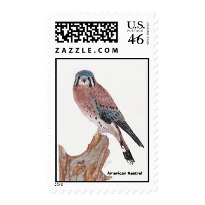American Kestrel, American Kestrel Postage Stamps by Eye4birds