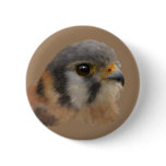 American Kestrel Buttons