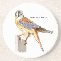American Kestrel coaster coasters