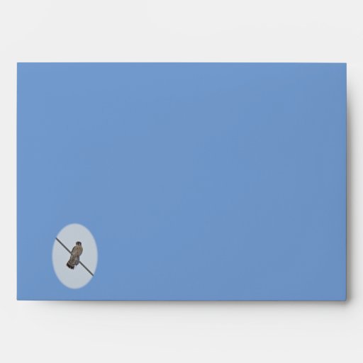 American Kestrel (Falco sparverius) Items Envelope