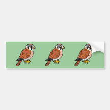 American Kestrel female Bumper Stickers