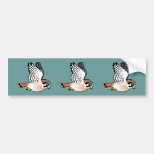 American Kestrel in flight Bumper Stickers