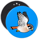 American Kestrel in flight Button