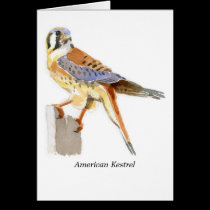 American Kestrel Note Card cards