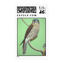 American Kestrel stamp