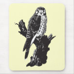 American Kestrel Sketch Mousepad