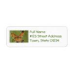 American Lady Butterfly Mailing Label