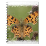 American Lady Butterfly Notebook