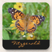 American Lady Butterfly - Vanessa virginiensis Coasters