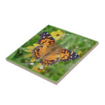 American Lady Butterfly - Vanessa virginiensis Ceramic Tiles