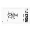 American Lobster postage