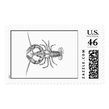 American Lobster Stamp