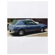 AMERICAN MOTORS JAVELIN AND GRAMLIN AND CACTI flyers by LOOSIELUCY AMERICAN MOTORS JAVELIN AND GRAMLIN AND CACTI flyers