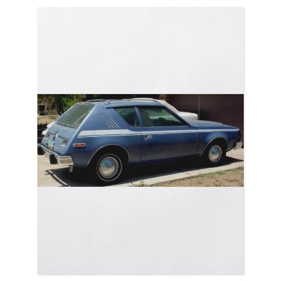 AMERICAN MOTORS JAVELIN AND GRAMLIN AND CACTI PERSONALIZED FLYER by LOOSIELUCY