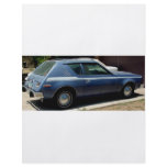 AMERICAN MOTORS JAVELIN AND GRAMLIN AND CACTI flyers