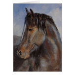 American Mustang Card