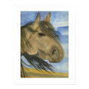 American Mustang posters
