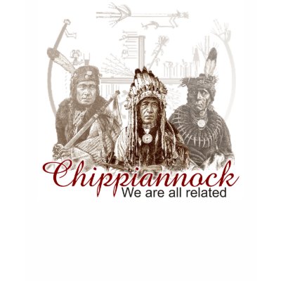 American Native Indian T-shirt We are all related