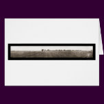 American Ostrich Farm Photo 1908