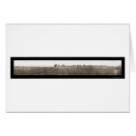 American Ostrich Farm Photo 1908