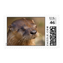 American Otter postage by Morice American Otter postage