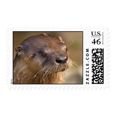American Otter Postage Stamps by Morice