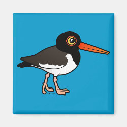 American Oystercatcher Square Magnet