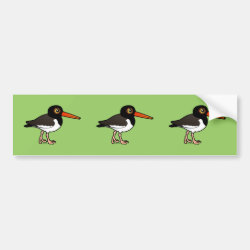 American Oystercatcher Bumper Sticker