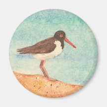 American Oystercatcher Magnet