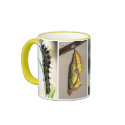 American Painted Lady Butterfly Lifecycle Coffee M mugs