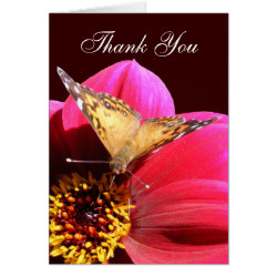 American Painted Lady ~ card card