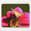 American Painted Lady ~ mousepad by Andy2302 American Painted Lady ~ mousepad