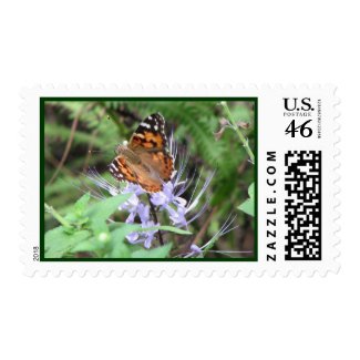American Painted Lady stamp